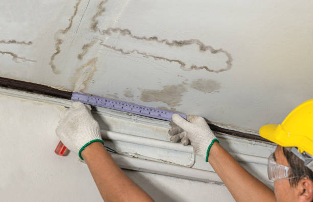 Reliable Water Damage contractor in Berkley, MI by Water Damage Irwin